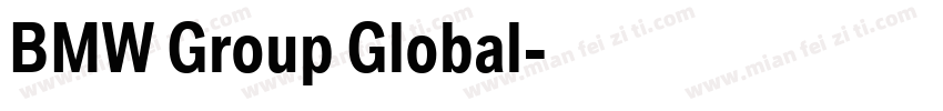 BMW Group Global字体转换
